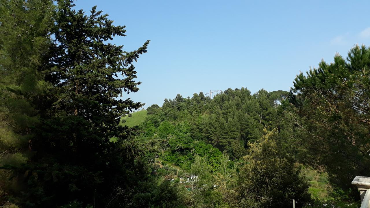 Bed and Breakfast Parco Dei Gelsomini Ascoli Piceno Exterior foto